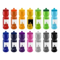 Spoke-Tacular 28 Oz Bike Bottle - Colors W/Push-Pull Lid