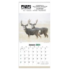 Sportsman 2024 Calendar