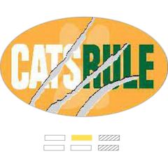 Spot Color Oval Polypropylene Removable Bumper Sticker