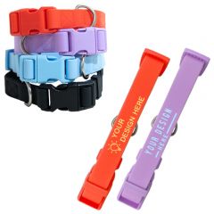 Springer Medium Dog Collar