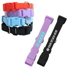 Springer Small Dog Collar