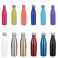Stainless Steel Vacuum Water Bottle