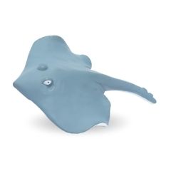 Stingray Shape Stress Reliever
