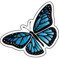 Stock Shape 1/4 Inch Acrylic Magnet -USA Made