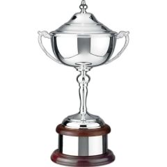 Supreme Trophy Award