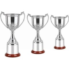 Supreme Trophy Award Bright
