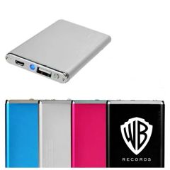 The Flurry Power Bank 2500 mAh