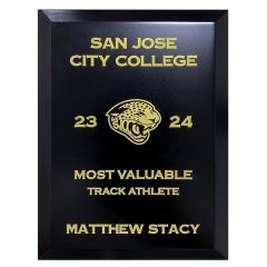 Touchstone Plaque Award - Silver Or Gold 12 Inch X 15 Inch