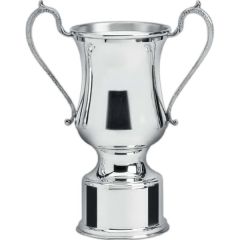 Traditional Trophy Award