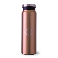 Trend Setter Metallic 600 mL 20 Oz Stainless Steel Bottle