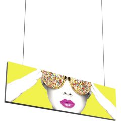 Vector Frame Hanging Light Box 10 Ft X 3 Ft