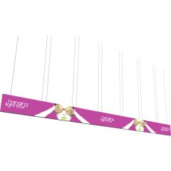 Vector Frame Hanging Light Box 40 Ft X 3 Ft