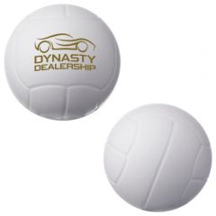 Volley Ball