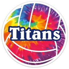 Volleyball Shaped Sports Magnet