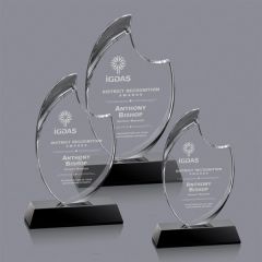 Waldorf Award
