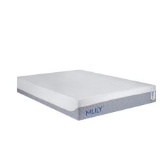 Wellflex 2.0 Mattress - Txl