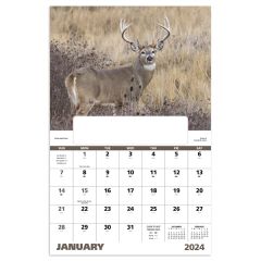 Window Wildlife Portraits 2023 Appointment Calendar